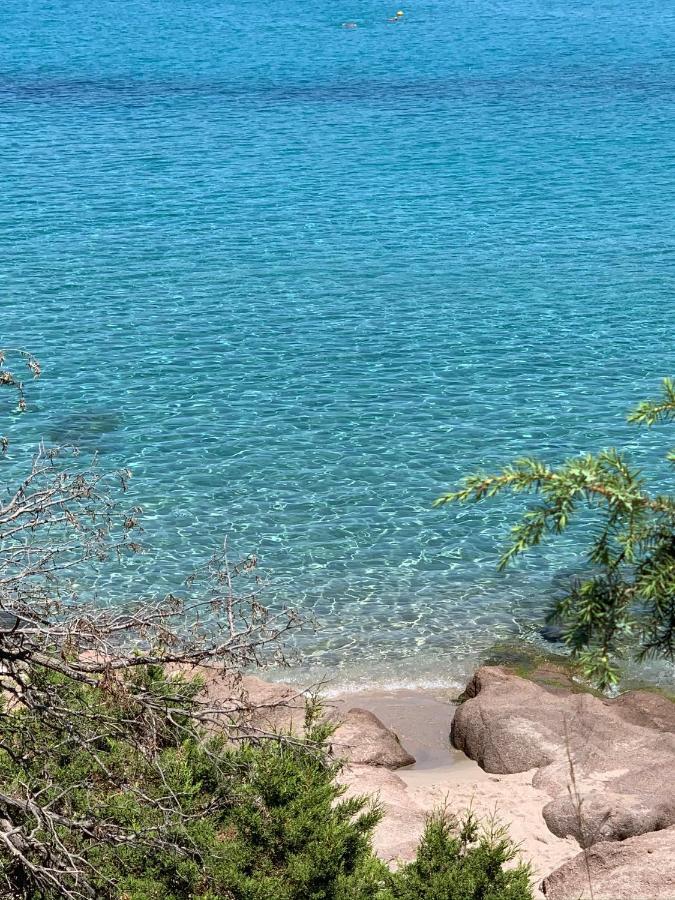 Le Ciliegie: Appartamento Moderno Isola Rossa Zewnętrze zdjęcie